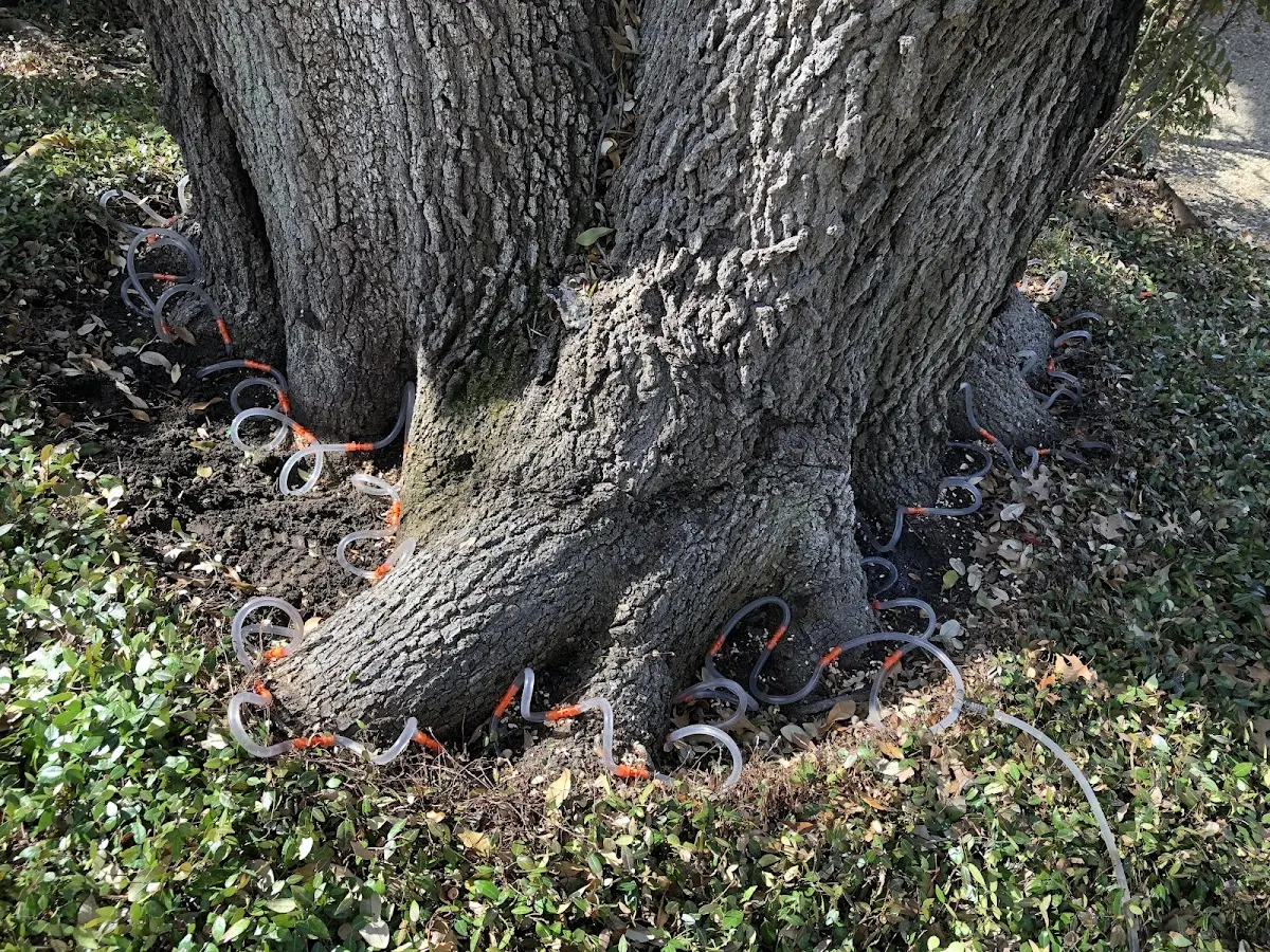 Detailed Shrub and Hedge Trimming job site in Neon