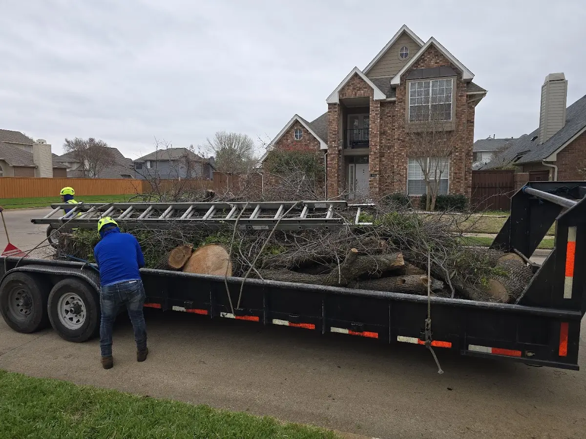 Expert Tree Fertilization with proper safety equipment in Neon